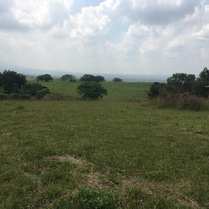 Vendo lote condominio niza santa elena